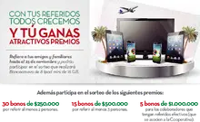44947_imagen