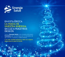 p_SINERGIA_Navidad_DIC2014