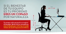 45381_imagen