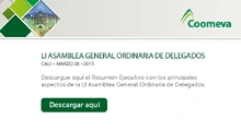 p_DIR_Resumen_ABR2015