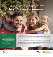 Email_Seg_Vida