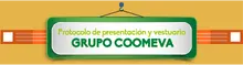 50294 NEW Encabezado TWO
