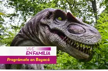 50386 - Vive en Familia