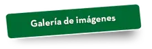 50495 Galer&iacute;a
