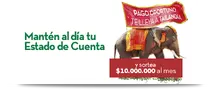 50524  Financieronet
