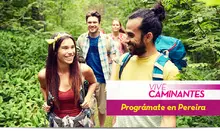50562 Vive Caminantes