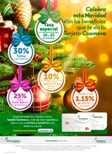 mailing-boletin-navidad-v3