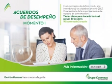 Colaborador 2