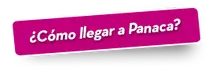 42786 B
