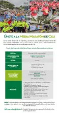 52771 Gestionet