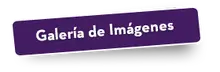 52848 Volver