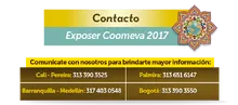 49902 - Cambio sin Icono 2