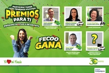 p_FECO_FECOOGANA_JUL2017