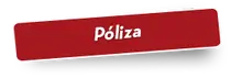 53418 P&oacute;liza