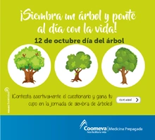 p_MP_ARBOL1_OCT2017