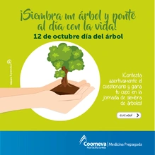 p_MP_ARBOL3_OCT2017