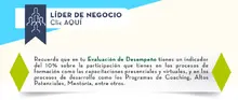 43512 - Nueva - Lider de Negocios