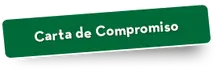 49873 Carta de Compromiso