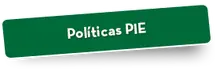 49873 Pol&iacute;ticas PIE