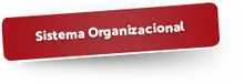 48242 Sistema Organizacional