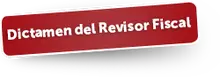 48247  Dictamen del Revisor Fiscal