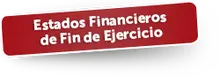 48247  Estados Financieros de Fin de Ejercicio
