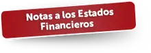 48247  Notas a los Estados Financieros