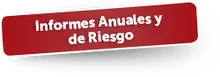 48247 Informes Anuales y de Riesgo