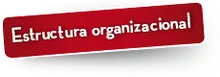 56632 Estructura organizacional