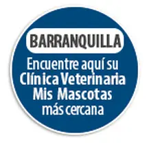 154940 Circulo