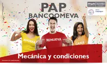 155066 Solo Encabezado