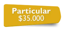 155734 - Particular