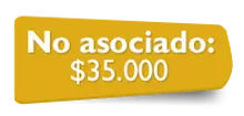 155734 - No Asociado
