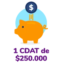 155710---1