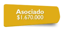 56155 - Asociado  - Cambio 29 de Abril 2019