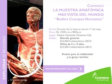 p_GH_Bodies_ABR2019