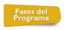 56092 Fases del programa
