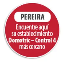 155869 Circulo