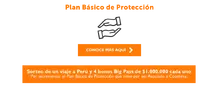 155895-Proteccci&oacute;n