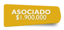 155954 Asociado