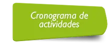 35133 Cronograma de Actividades