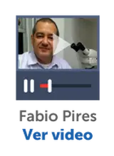 156060---Pires