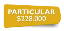 156260 - Particular