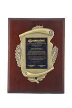 Placa Fundescoop