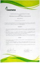 Resoluci&oacute;n Comit&eacute; Regional Cali 