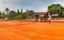 Tenis de Campo
