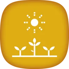 Creaci&oacute;n de una huerta
