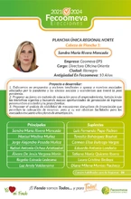Plancha Norte