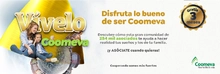 V&iacute;velo Banners 3