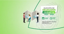 bCOOP_ELEC-VOTAR_FEB22